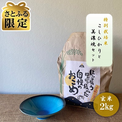 【さとふる限定】【令和7年産:玄米】特別栽培米コシヒカリ(2kg)+【美濃焼】青輝貫入 小鉢2個