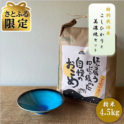 【さとふる限定】【令和7年産:精米】特別栽培米コシヒカリ(4.5kg)+【美濃焼】青輝貫入 小鉢2個