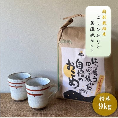 【令和7年産:精米】特別栽培米コシヒカリ(9kg)+【美濃焼】赤絵かいらぎマグカップ(2個)