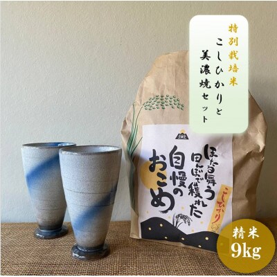 【令和7年産:精米】特別栽培米コシヒカリ(9kg)+【美濃焼】青雲かいらぎフリーカップ大(2個)