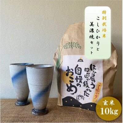 【令和7年産:玄米】特別栽培米コシヒカリ(10kg)+【美濃焼】青雲かいらぎフリーカップ大(2個)