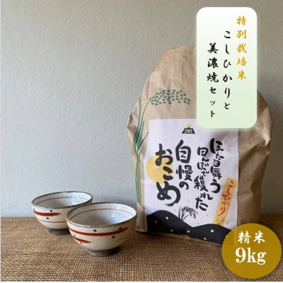 【令和7年産:精米】特別栽培米コシヒカリ(9kg)+【美濃焼】赤絵かいらぎ煎茶碗