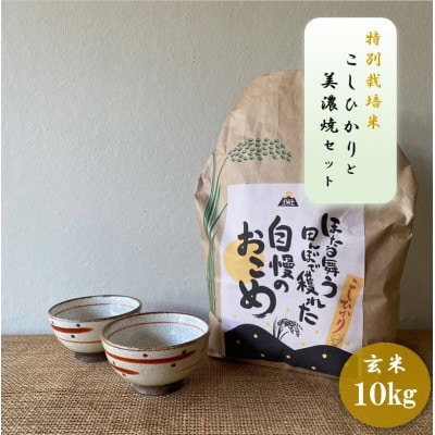 【令和7年産:玄米】 特別栽培米コシヒカリ(10kg)+【美濃焼】赤絵かいらぎ煎茶碗