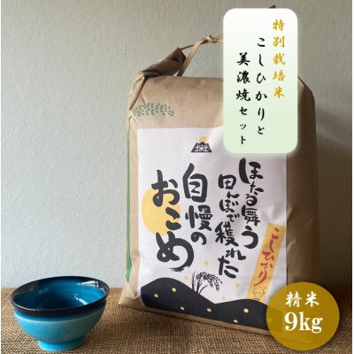 【令和7年産:精米】特別栽培米コシヒカリ(9kg)+【美濃焼】青輝貫入煎茶(2個)