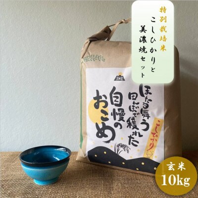 【令和7年産:玄米】特別栽培米コシヒカリ(10kg)+【美濃焼】青輝貫入煎茶(2個)