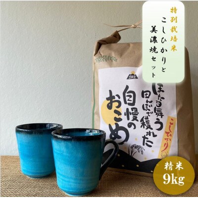 【令和7年産:精米】特別栽培米コシヒカリ(9kg)+【美濃焼】青輝貫入マグカップ(2個)
