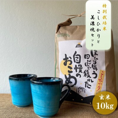 【令和7年産:玄米】特別栽培米コシヒカリ(10kg)+【美濃焼】青輝貫入マグカップ(2個)