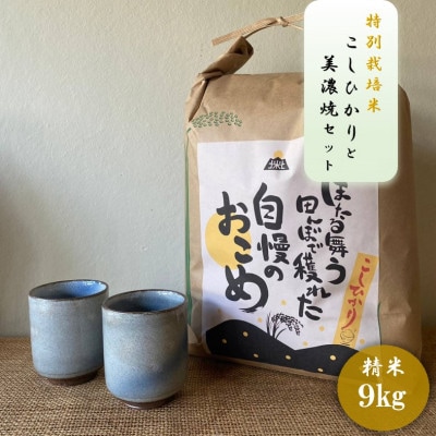 【令和7年産:精米】特別栽培米コシヒカリ(9kg)+【美濃焼】青雲かいらぎ湯呑大(2個)
