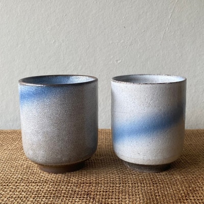 【令和7年産:精米】特別栽培米コシヒカリ(9kg)+【美濃焼】青雲かいらぎ湯呑大(2個)