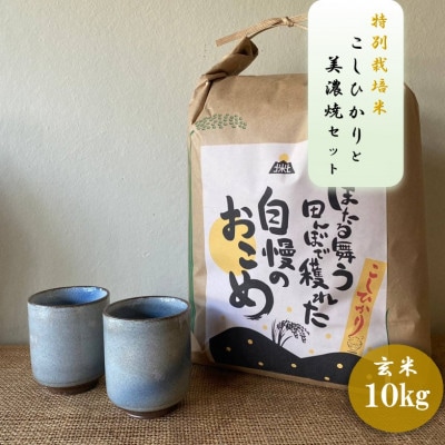 【令和7年産:玄米】特別栽培米コシヒカリ(10kg)+【美濃焼】青雲かいらぎ湯呑大(2個)