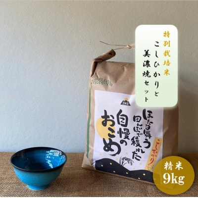 【令和7年産:精米】特別栽培米コシヒカリ(9kg)+【美濃焼】青輝貫入茶碗