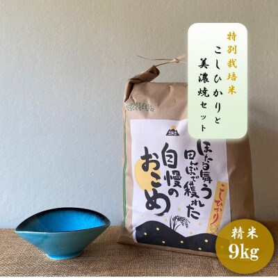 【令和7年産:精米】特別栽培米コシヒカリ(9kg)+【美濃焼】青輝貫入楕円小鉢(2個)