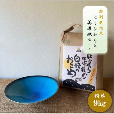 【令和7年産:精米】特別栽培米コシヒカリ(9kg)+【美濃焼】青輝貫入7寸鉢