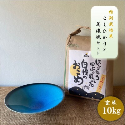 【令和7年産:玄米】特別栽培米コシヒカリ(10kg)+【美濃焼】青輝貫入7寸鉢