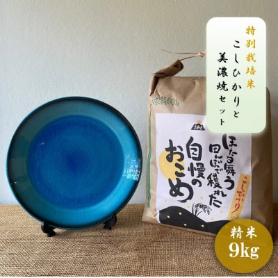 【令和7年産:精米】特別栽培米コシヒカリ(9kg)+【美濃焼】青輝貫入7寸皿