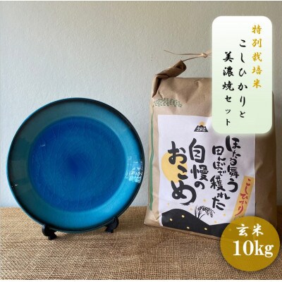 【令和7年産:玄米】特別栽培米コシヒカリ(10kg)+【美濃焼】青輝貫入7寸皿