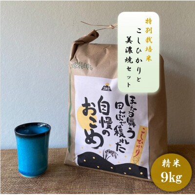 【令和7年産:精米】特別栽培米コシヒカリ(9kg)+【美濃焼】青輝貫入湯呑(2個)