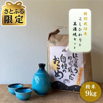 【さとふる限定】【令和7年産:精米】特別栽培米コシヒカリ(9kg)+【美濃焼】青輝貫入酒器セット