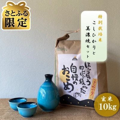 【さとふる限定】【令和7年産:玄米】特別栽培米コシヒカリ(10kg)+【美濃焼】青輝貫入 酒器セット