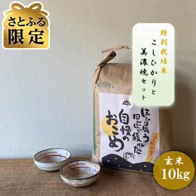 【さとふる限定】【令和7年産:玄米】特別栽培米 コシヒカリ(10kg)+【美濃焼】赤絵かいらぎ小付け