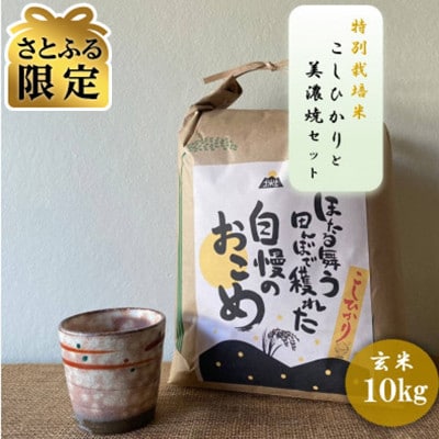 【さとふる限定】【令和7年産:玄米】特別栽培米 コシヒカリ(10kg)+【美濃焼】赤絵かいらぎカップ
