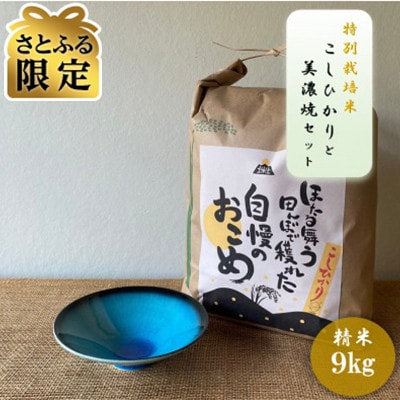 【さとふる限定】【令和7年産:精米】特別栽培米コシヒカリ(9kg)+【美濃焼】青輝貫入 小鉢2個