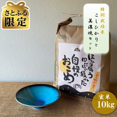 【さとふる限定】【令和7年産:玄米】特別栽培米 コシヒカリ(10kg)+【美濃焼】青輝貫入小鉢 2個