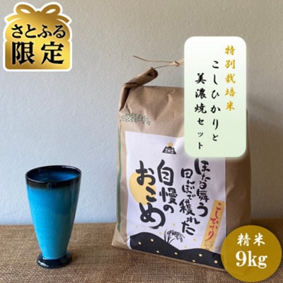 【さとふる限定】令和7年産:精米 特別栽培米コシヒカリ(9kg)+【美濃焼】青輝貫入フリーカップ