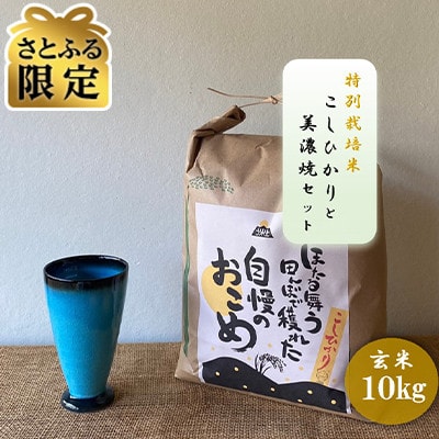 【さとふる限定】令和7年産:玄米 特別栽培米 コシヒカリ(10kg)+【美濃焼】青輝貫入フリーカップ