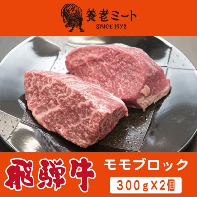 飛騨牛 モモブロック 300g×2個