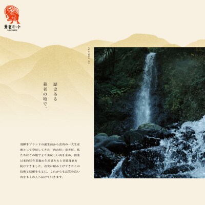 飛騨牛 モモブロック 300g×2個