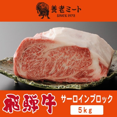 飛騨牛 サーロインブロック 5kg