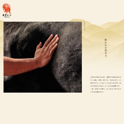 飛騨牛 サーロインブロック 5kg