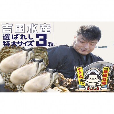 選ばれし むき身牡蠣 特大サイズ 3粒 《数量限定》【 横綱牡蠣の吉田水産 】