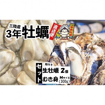 むき身牡蠣 Mサイズ 300g+殻付き牡蠣2個 セット 【 横綱牡蠣の吉田水産 】