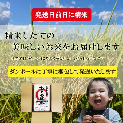 【令和6年産】【ひとめぼれ】お米マイスター推奨【盛岡市産】20kg