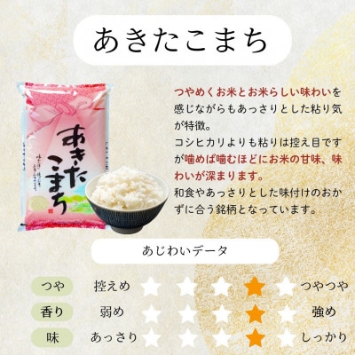 令和7年産 あきたこまち お米マイスター推奨 盛岡市産 精米 20kg