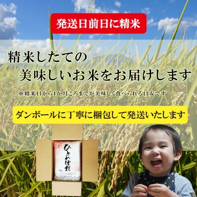 【令和6年産】【ひとめぼれ】【無洗米】お米マイスター推奨【盛岡市産】5kg
