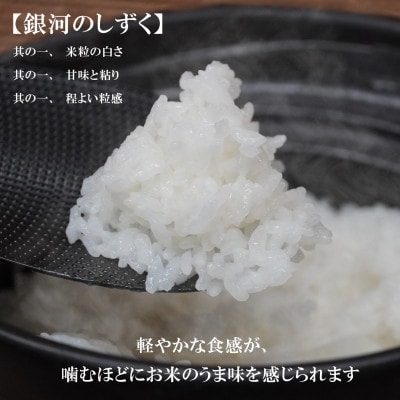 【令和6年産】【銀河のしずく】【無洗米】お米マイスター推奨【盛岡市産】10kg