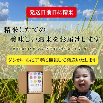 【令和6年産】【銀河のしずく】【無洗米】お米マイスター推奨【盛岡市産】10kg