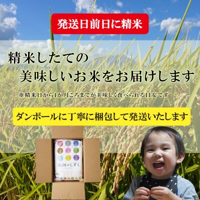 【令和6年産】【銀河のしずく】【無洗米】お米マイスター推奨【盛岡市産】30kg
