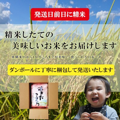 【令和6年産】【あきたこまち】【無洗米】お米マイスター推奨【盛岡市産】30kg