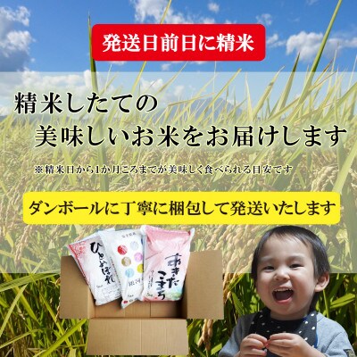 無洗米3種食べ比べ【銀河のしずく・ひとめぼれ・あきたこまち