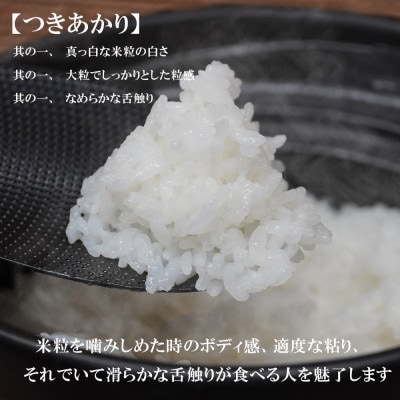 【令和6年】【つきあかり】お米マイスター推奨【盛岡市産】10kg