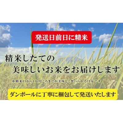 【令和6年】【つきあかり】お米マイスター推奨【盛岡市産】10kg