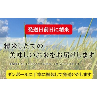 新米　ミルキークィーン　無洗米　11kg 令和三年