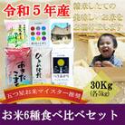 盛岡市産6種食べ比べ【各5kg】