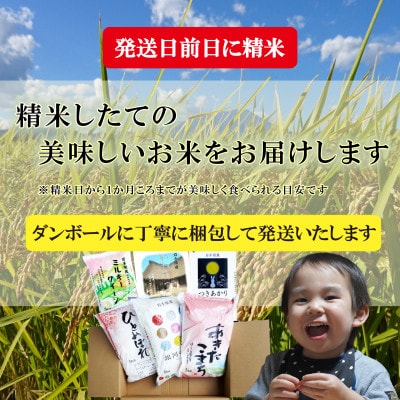 盛岡市産無洗米6種食べ比べ【各5kg】