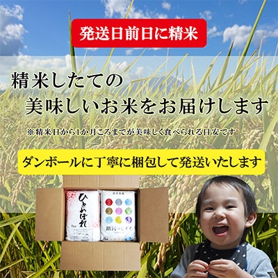 【毎月定期便】【3か月毎月配送】【無洗米2種食べ比べ】各5kg全3回