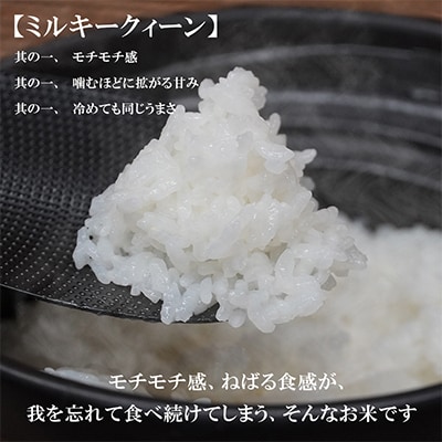 【毎月定期便】【3か月毎月配送】【無洗米】【ミルキークィーン】10kg全3回